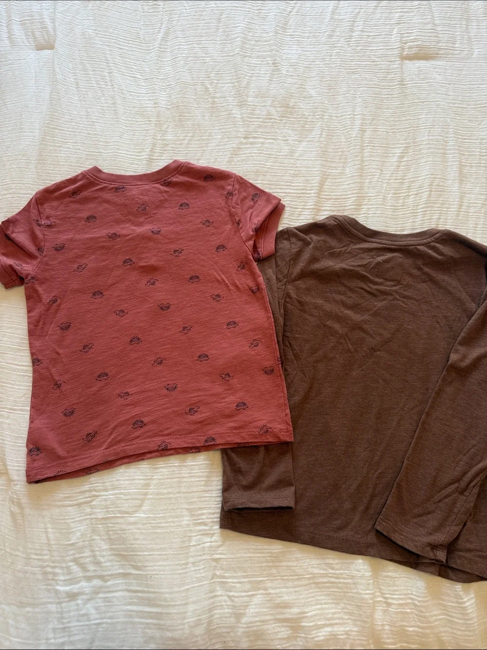 Kids Long Sleeve Brown Bear Graphic Tee & Short Sleeve Dusty Red Henley Set